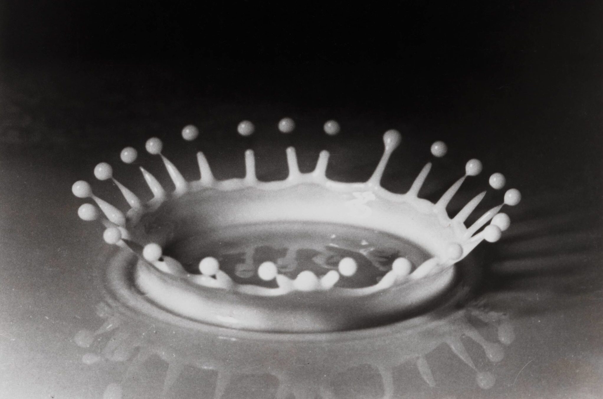 Harold Edgerton - Goutte de lait