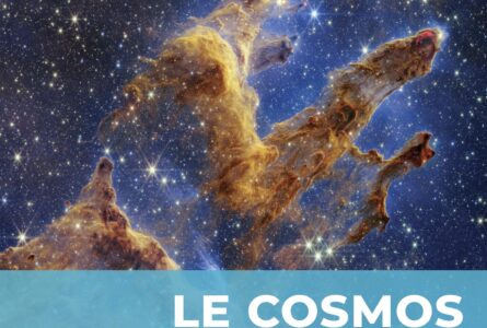 Nouveauté : Le Cosmos de Franck FRANCHIN